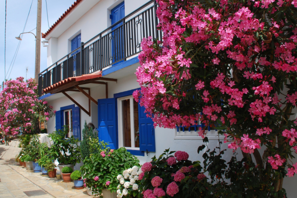 samos-adasi-turu-2-gece-3 gün-5(1).png